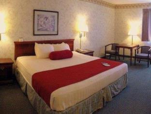 Best Western Executive Inn- Mount Gilead Pulaskiville Room photo